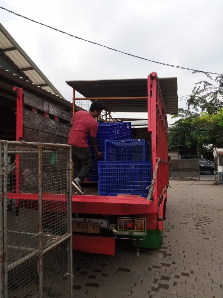 Jasa Pindahan Rumah The Coach House